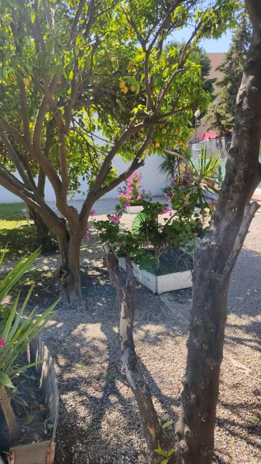 Garden Green Da Virna Torre Annunziata Bagian luar foto