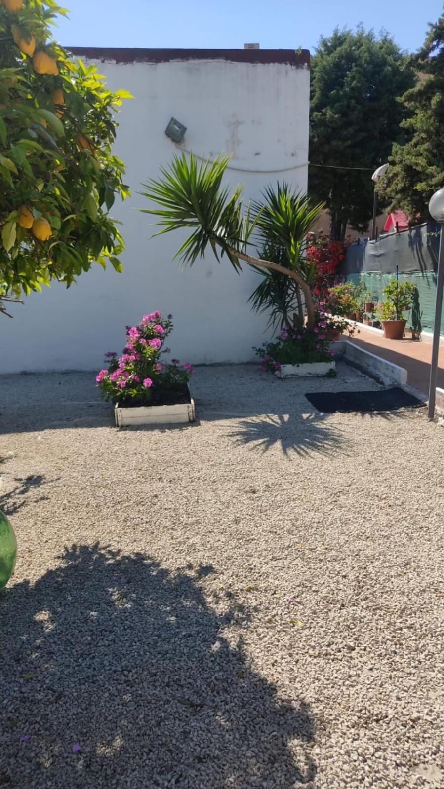Garden Green Da Virna Torre Annunziata Bagian luar foto