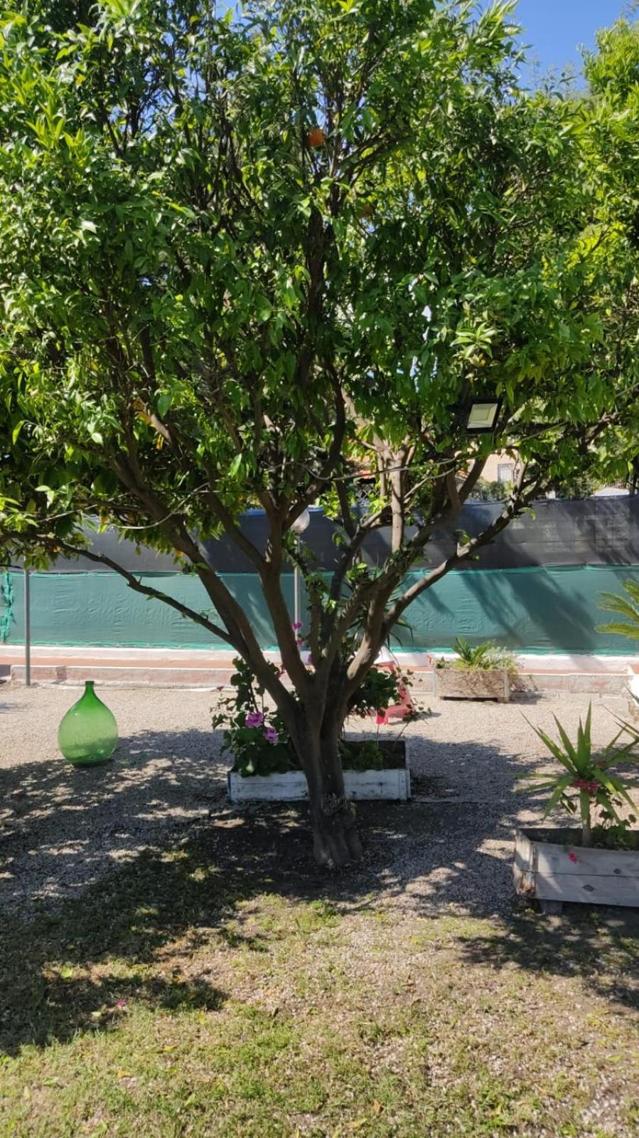 Garden Green Da Virna Torre Annunziata Bagian luar foto