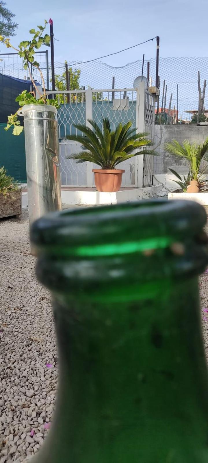 Garden Green Da Virna Torre Annunziata Bagian luar foto