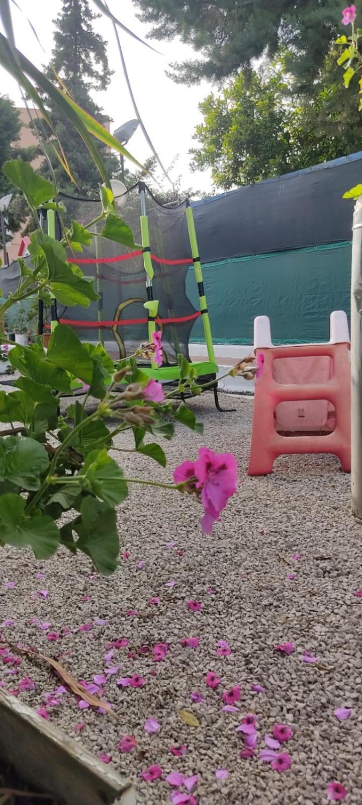 Garden Green Da Virna Torre Annunziata Bagian luar foto