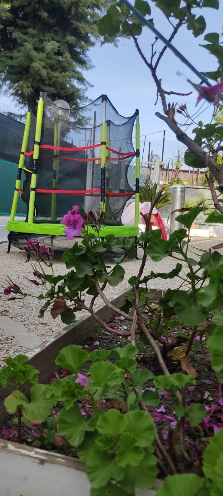 Garden Green Da Virna Torre Annunziata Bagian luar foto
