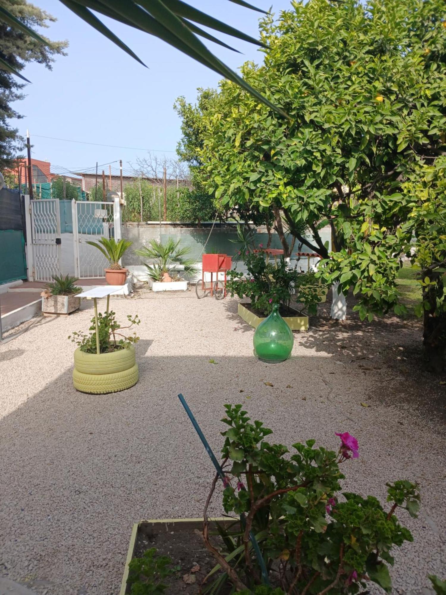 Garden Green Da Virna Torre Annunziata Bagian luar foto